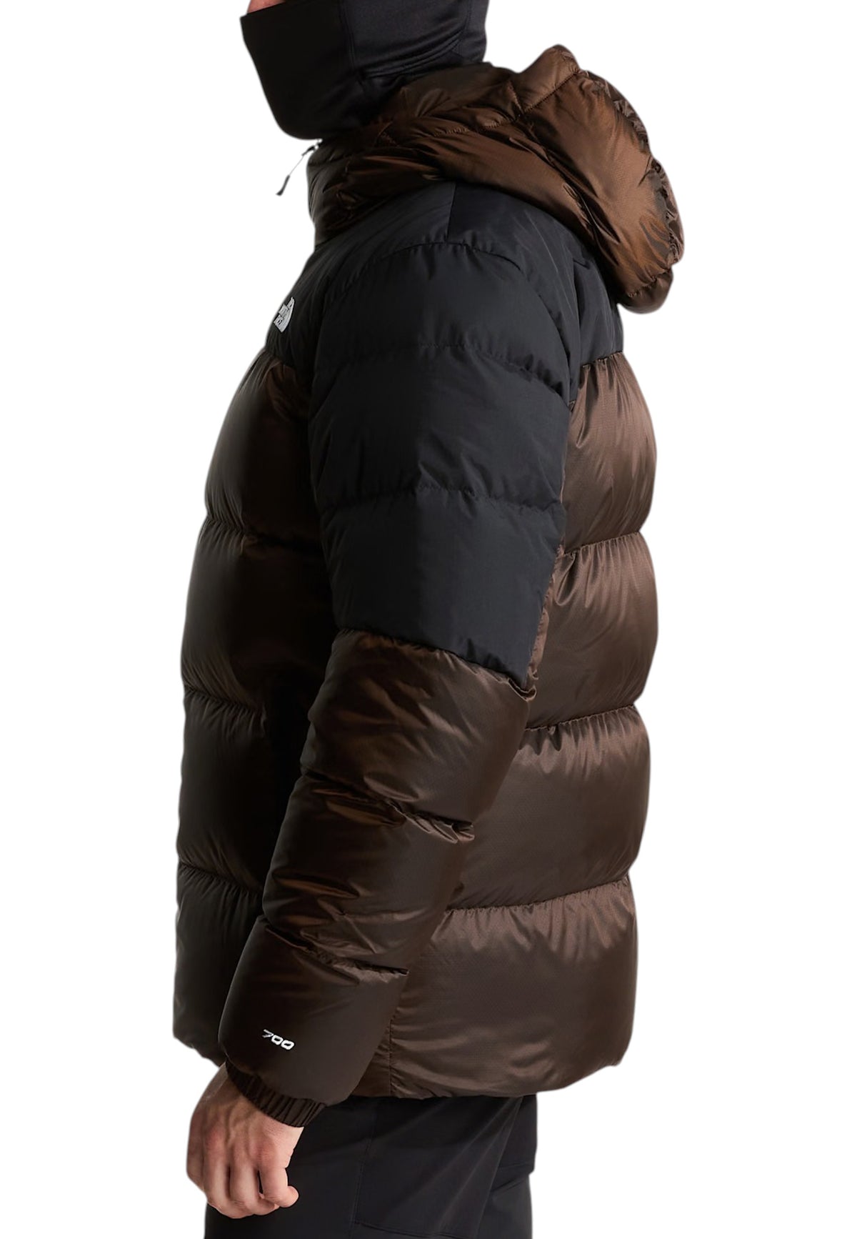 GIUBBINI E GIACCHE Marrone/nero The North Face