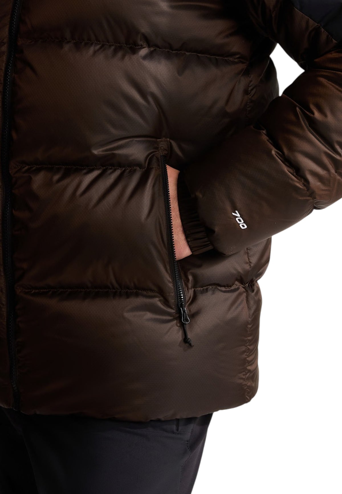 GIUBBINI E GIACCHE Marrone/nero The North Face