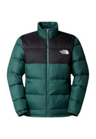 GIUBBINI E GIACCHE Verde Bottiglia The North Face