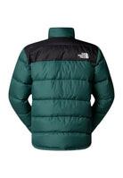 GIUBBINI E GIACCHE Verde Bottiglia The North Face
