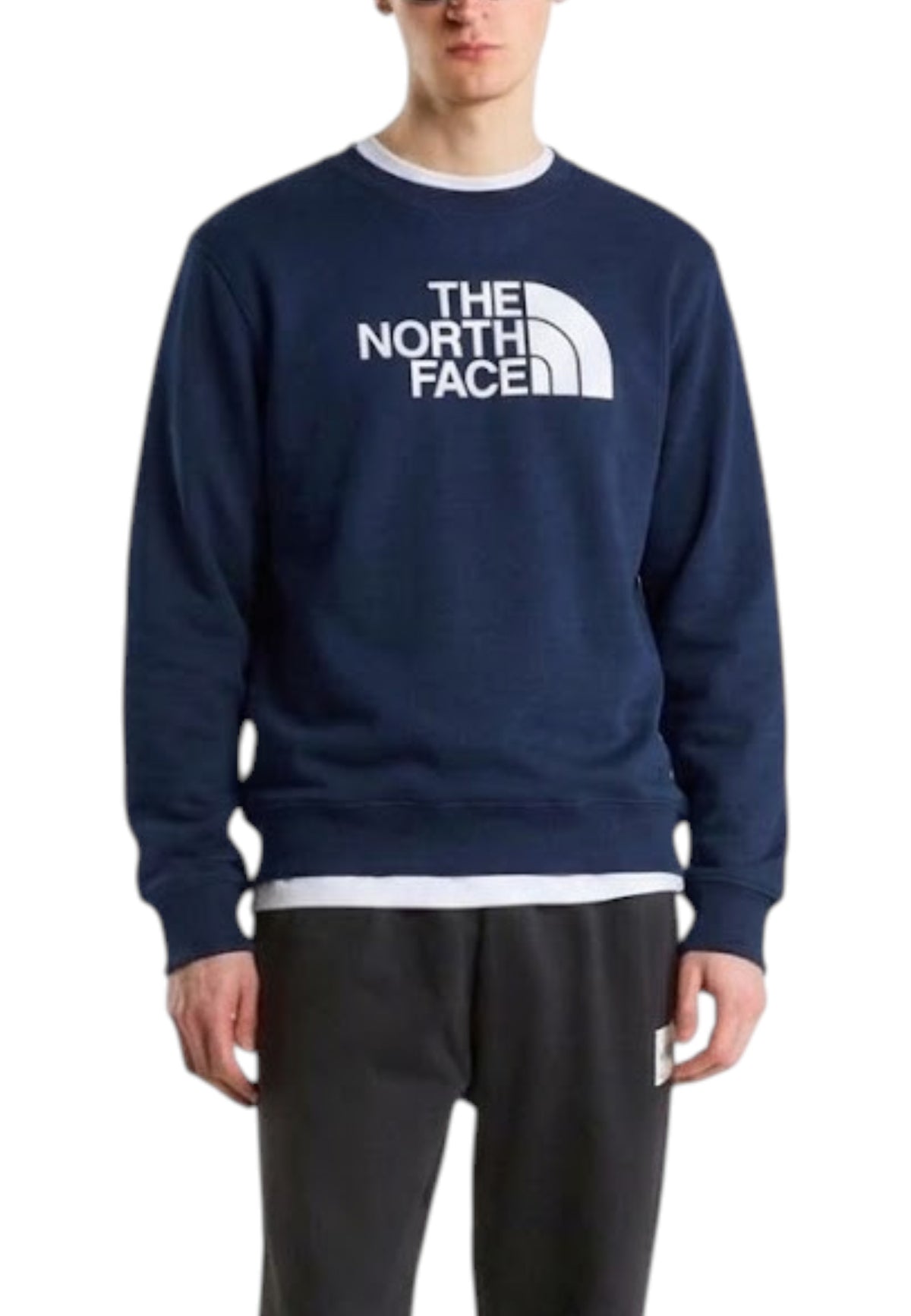 FELPE Blu/bianco The North Face