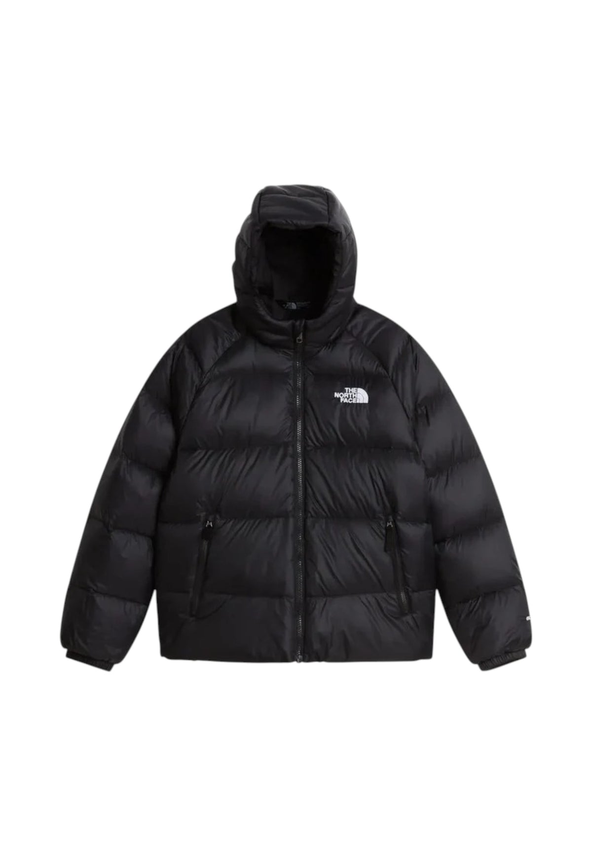 GIUBBINI E GIACCHE Nero The North Face