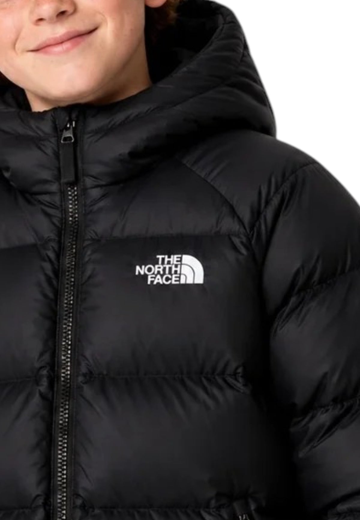 GIUBBINI E GIACCHE Nero The North Face