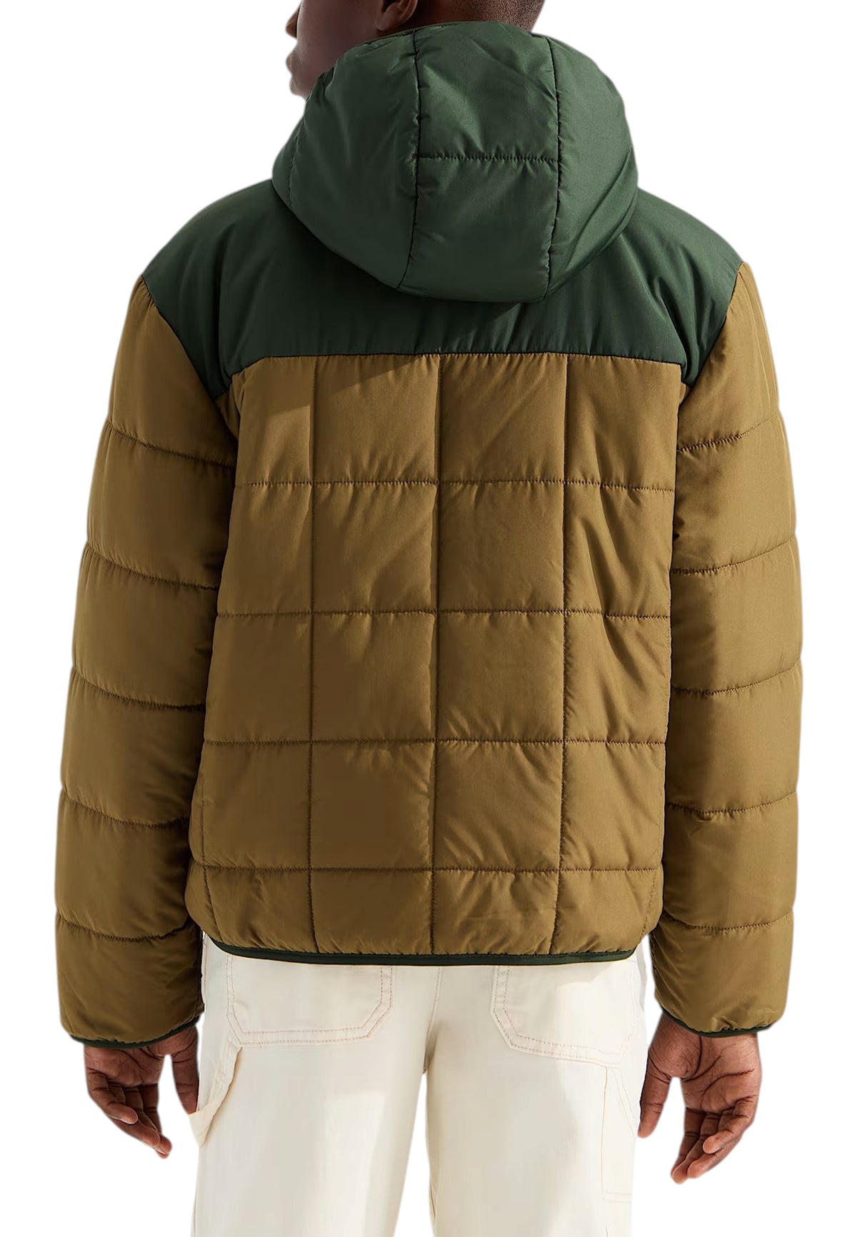 GIUBBINI E GIACCHE Verde Oliva The North Face
