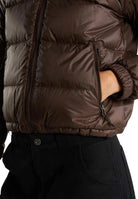 GIUBBINI E GIACCHE Marrone The North Face