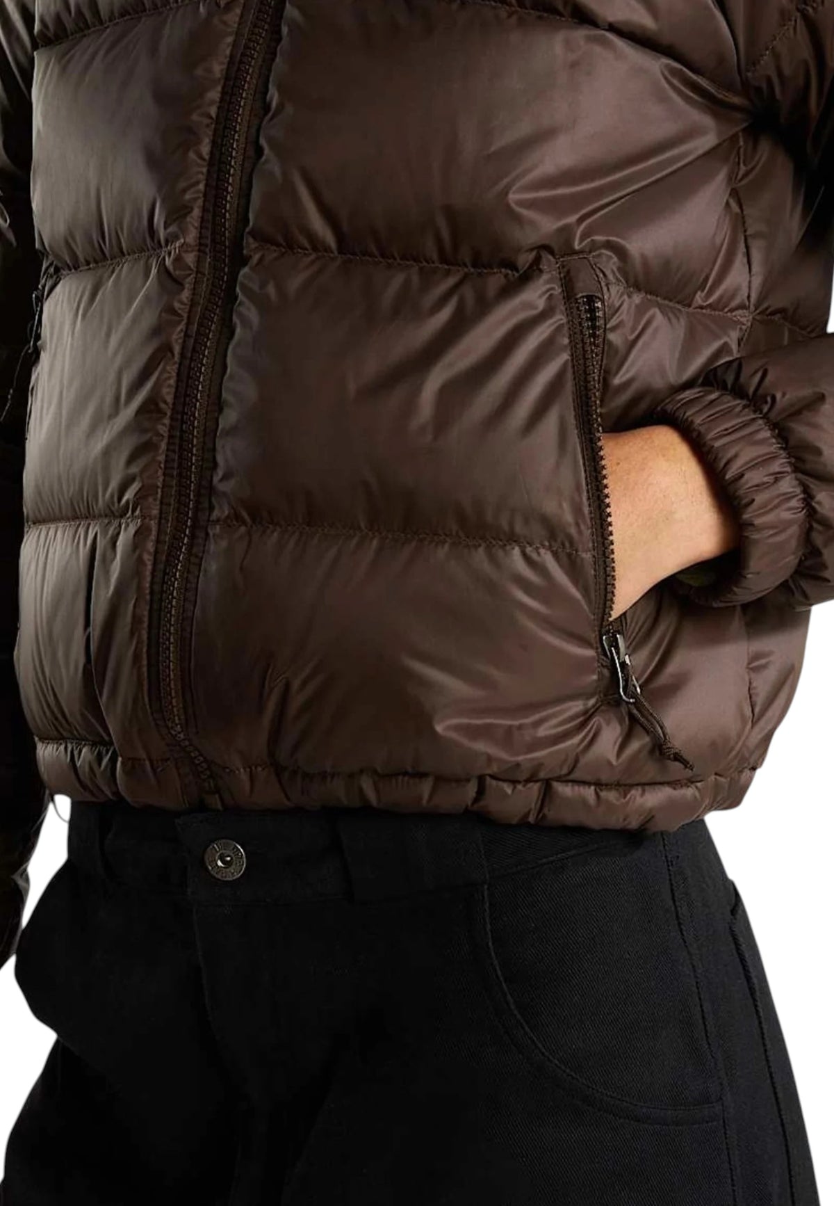 GIUBBINI E GIACCHE Marrone The North Face
