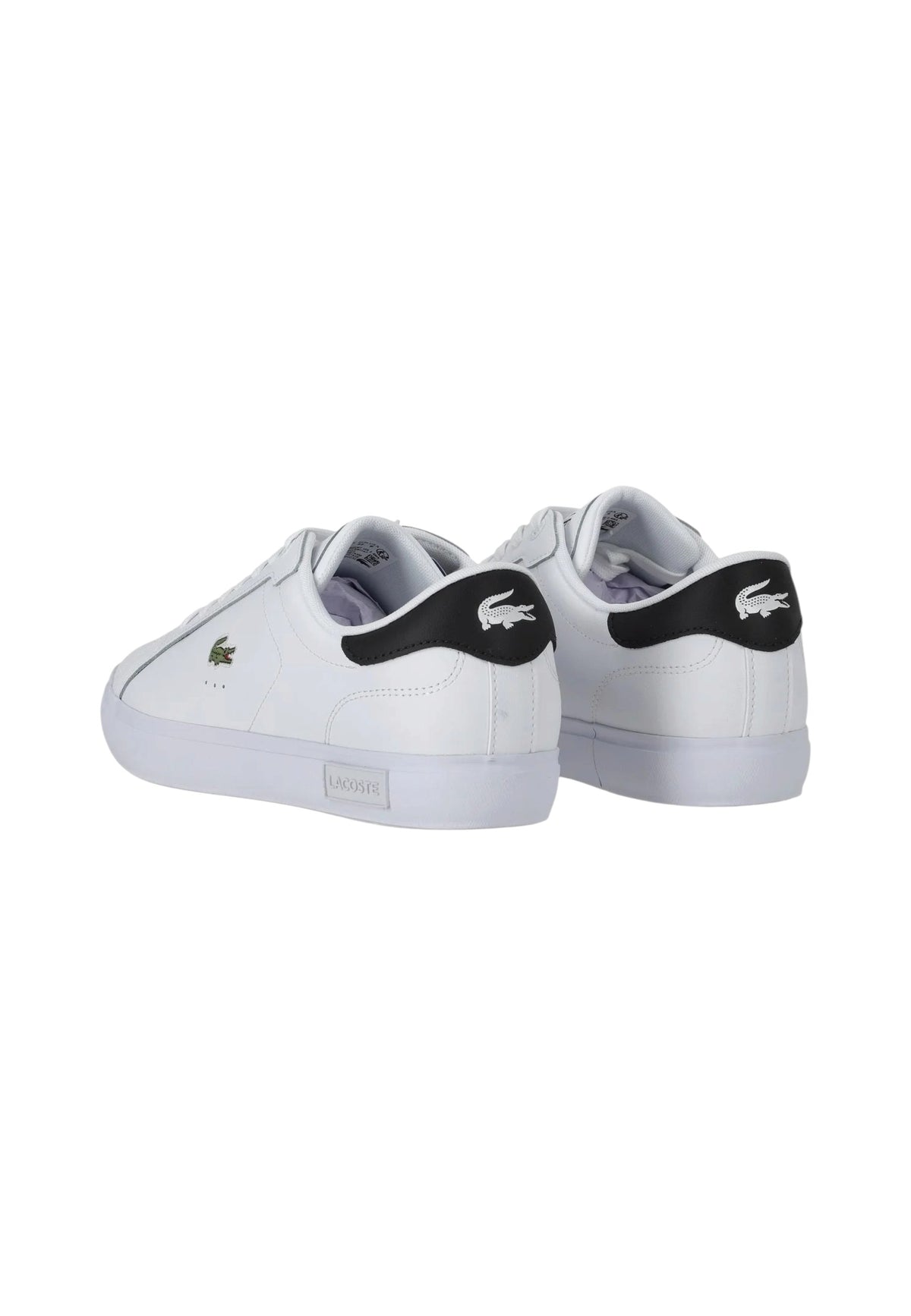 SCARPE Bianco/nero Lacoste
