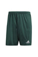 PANTALONCINI Verde Adidas