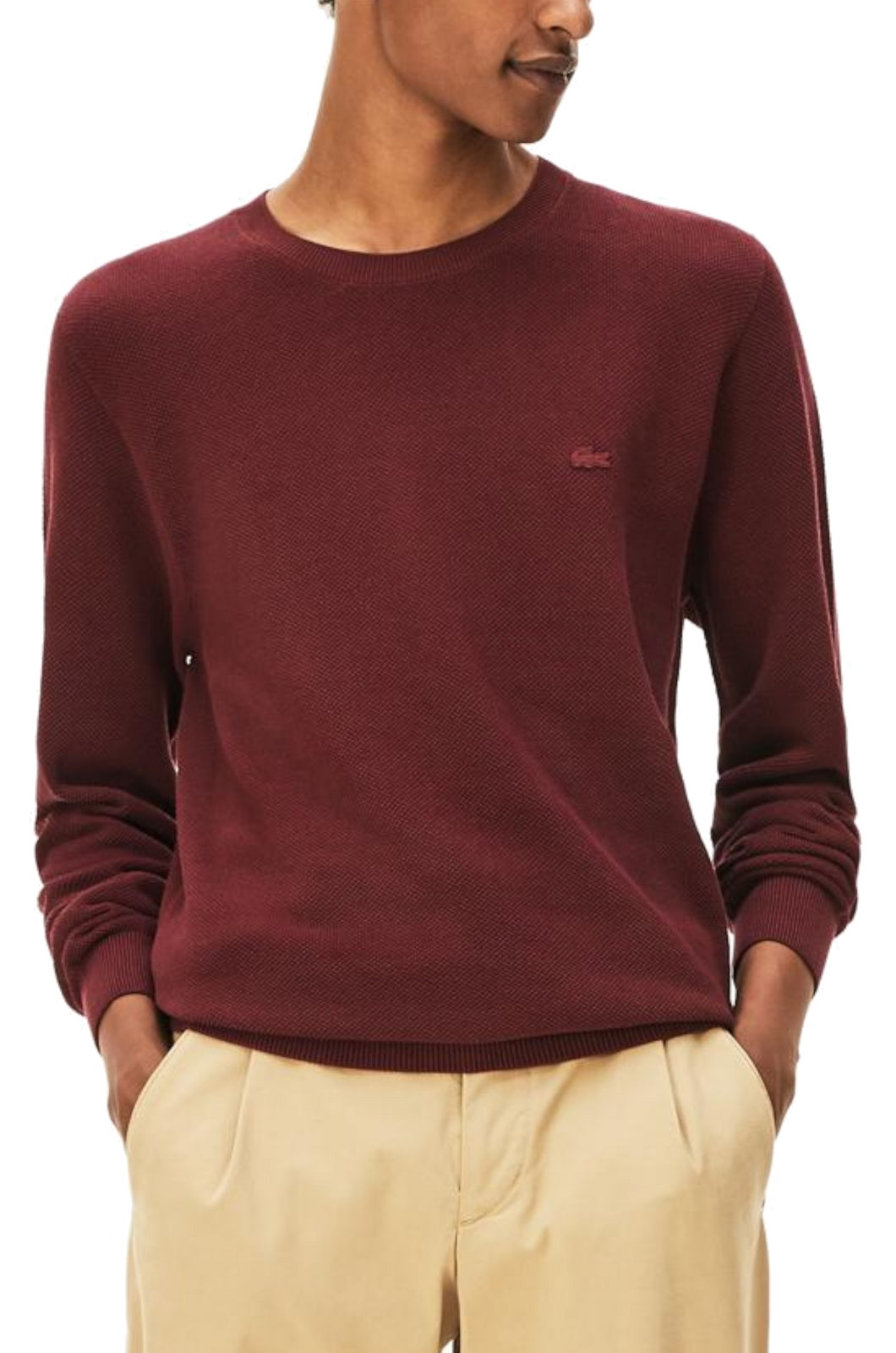MAGLIONI E POLO Bordeaux Lacoste