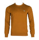 MAGLIONI E POLO Marrone Lacoste