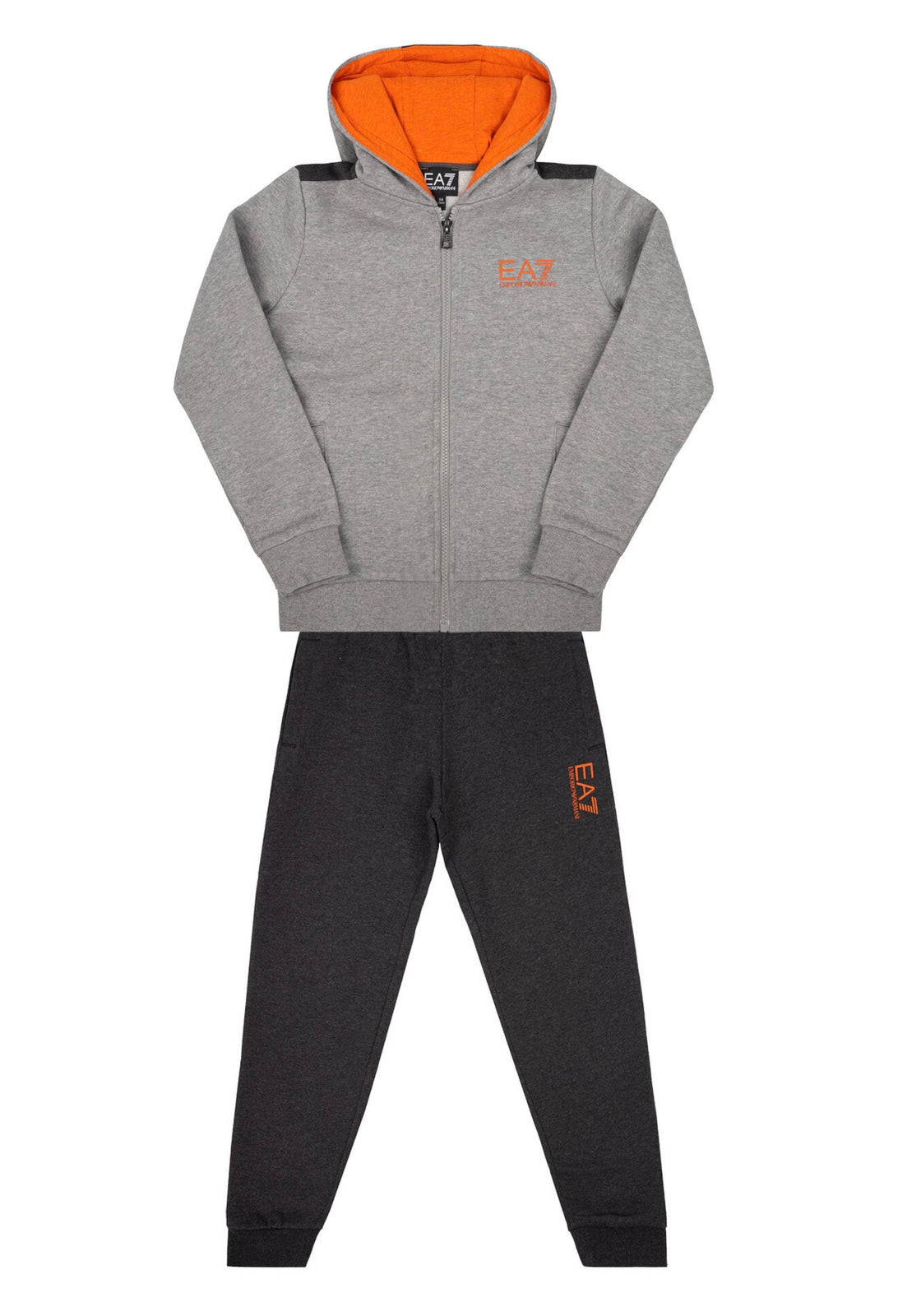TUTE Grigio Ea7